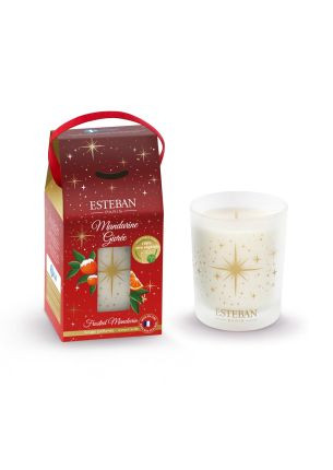 Świeca zapachowa 180 g Frosted Mandarin 2024 Esteban