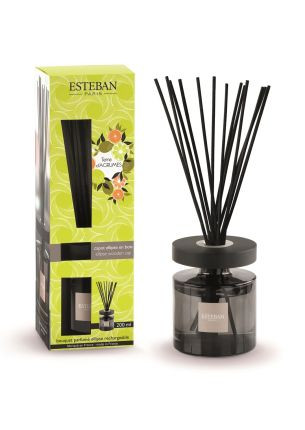 Dyfuzor zapachowy z patyczkami (200 ml) Terre d'agrumes Esteban